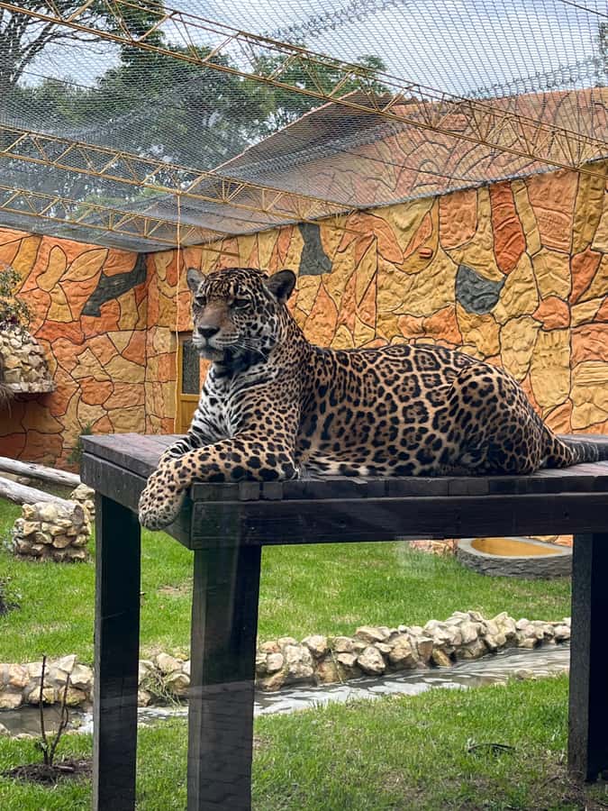 BOGOTA: Tour of Jaime Duque Park, Zoo, and Aerospace Museum - Is $117 per person a fair price?