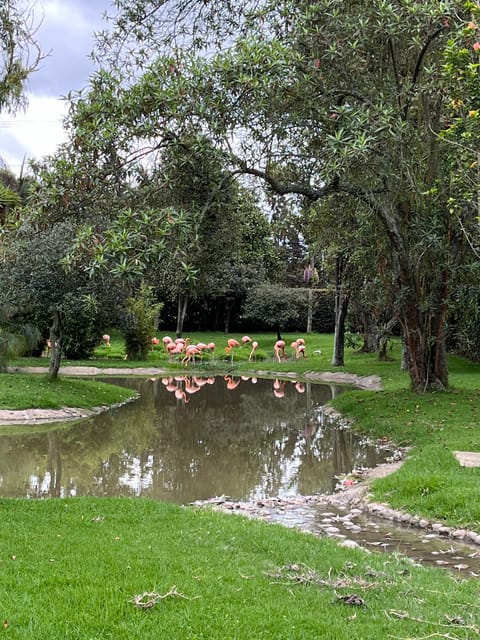 BOGOTA: Tour of Jaime Duque Park, Zoo, and Aerospace Museum - Wakatá Biopark, animals with a conservation purpose