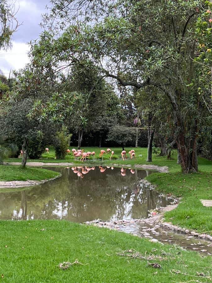 BOGOTA: Tour of Jaime Duque Park, Zoo, and Aerospace Museum - The Aerospace Museum and an important check before departure