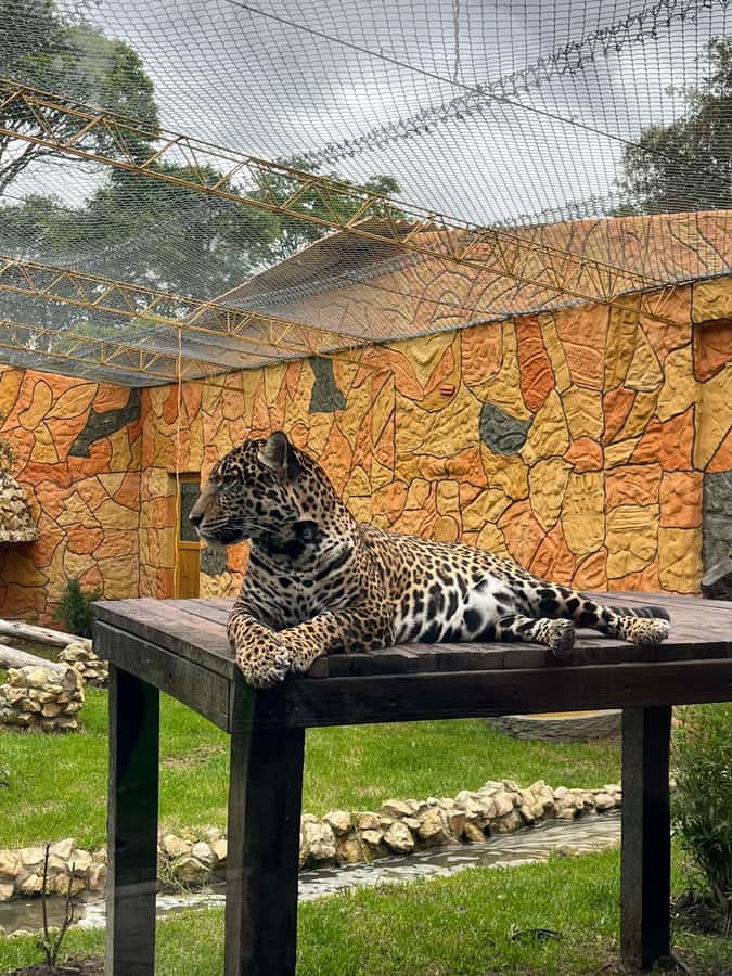 BOGOTA: Tour of Jaime Duque Park, Zoo, and Aerospace Museum - Tocancipá, lunch, and the Colombian flavor of the day