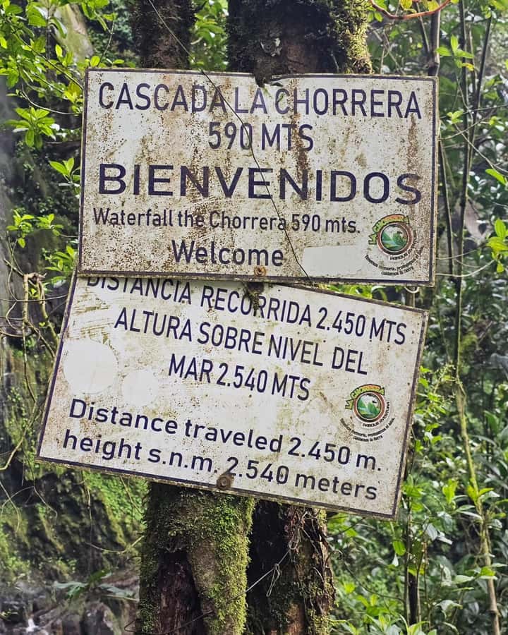Bogotá: Visit Colombia's Highest Waterfalls & Guadalupe Hill - Key points to know before you book