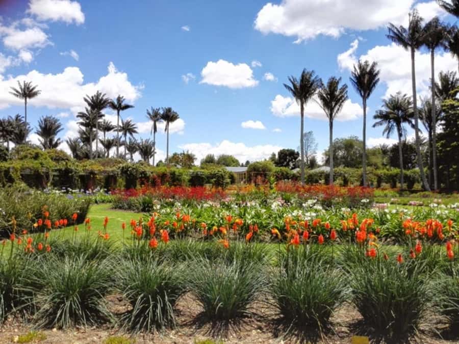 BOGOTA: Visit to the Botanical Garden and Ugly Betty's House - The Andean and rainforest settings