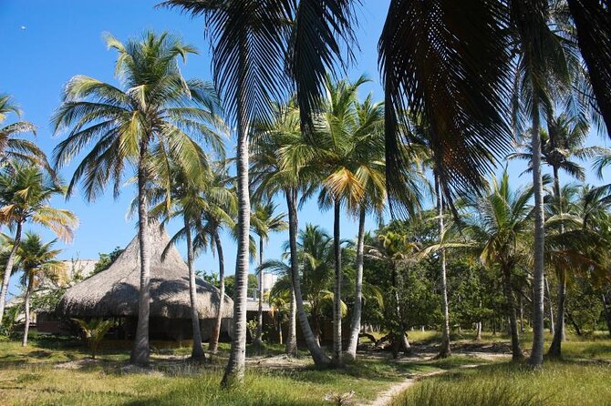 Bora Bora Cartagena Beach Club Full Day Experience - Arriving at Bora Bora Beach Club