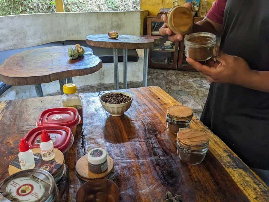 Cacao and Coffee Tour - Key points at a glance
