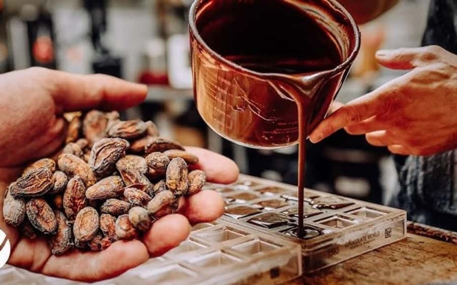 Cacao Experience Tour - Starting at Minca’s church