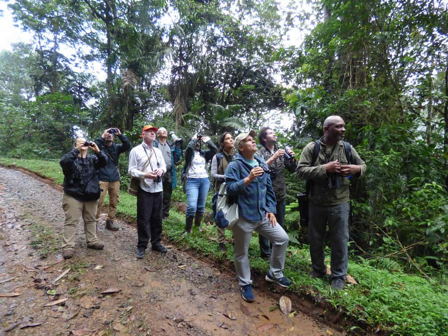 Cali: Bird Watching in The San Antonio Fog Forest - Price, group size, and overall value