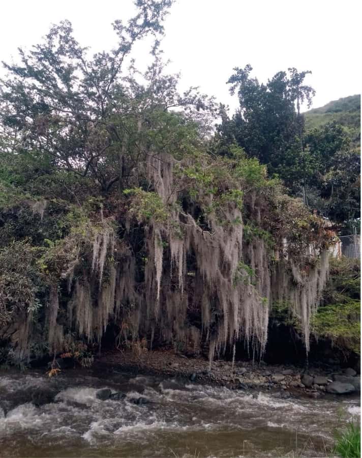 Cali: Cali River Waterfall and Great River Pools Tour - Who should book this Cali river outing?