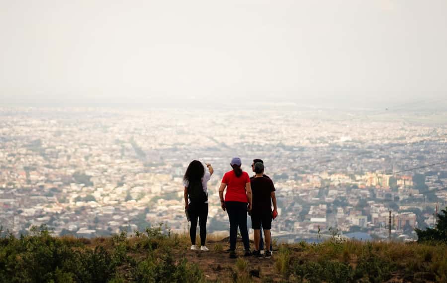 Cali: City Tour - The Cats of the River and Cali’s public art