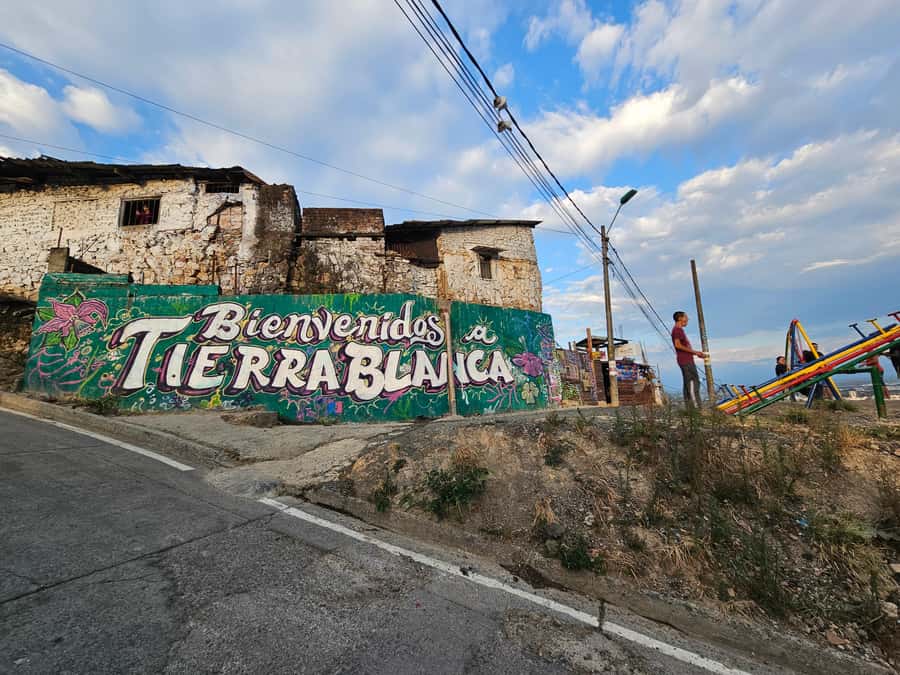 Cali: Comuna 20 Siloé Street Art Tour - Starting at Terminal Cañaveralejo at 3 p.m.