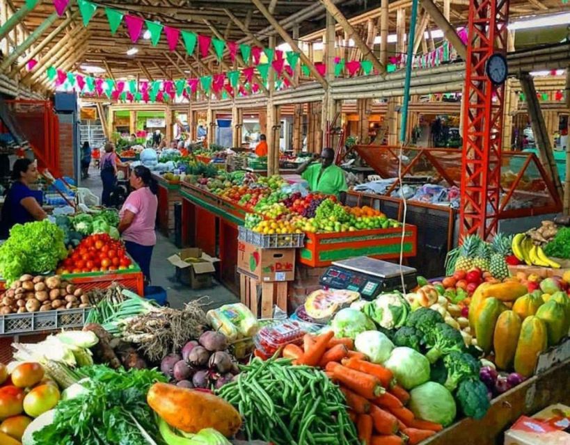 Cali: Cristo Rey, Tertulia Museum & Downtown Cali City Tour - Who should book this Cali city tour