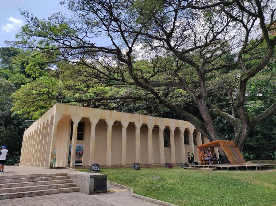 Cali: Cristo Rey, Tertulia Museum & Downtown Cali City Tour - Tertulia Museum and Cali’s modern-art story