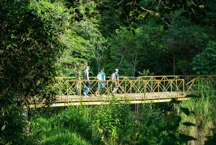 Cali: Hiking to the Pance waterfalls - Should you book the Pance waterfall hike?