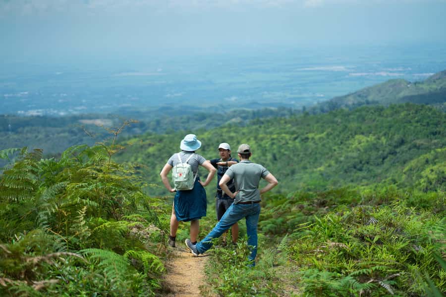 Cali: Hiking to the Pance waterfalls - Birds, plants, and the Farallones setting