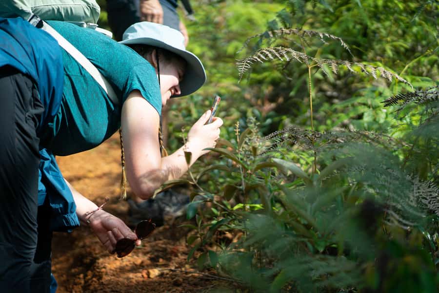 Cali: Hiking to the Pance waterfalls - Practical preparation for a wet trail