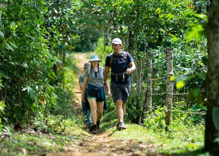 Cali: Hiking to the Pance waterfalls - What the forest hike is really like