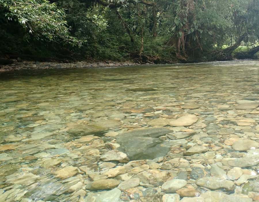 Cali: San Cipriano & River Adventure Day Tour - What the guide adds to the day