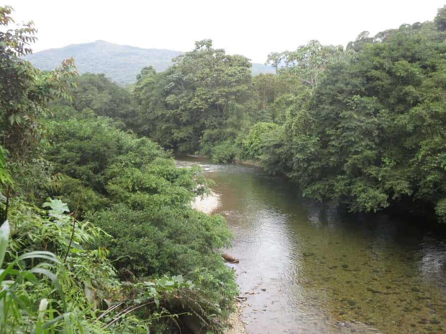 Cali: San Cipriano & River Adventure Day Tour - Who will enjoy this most?
