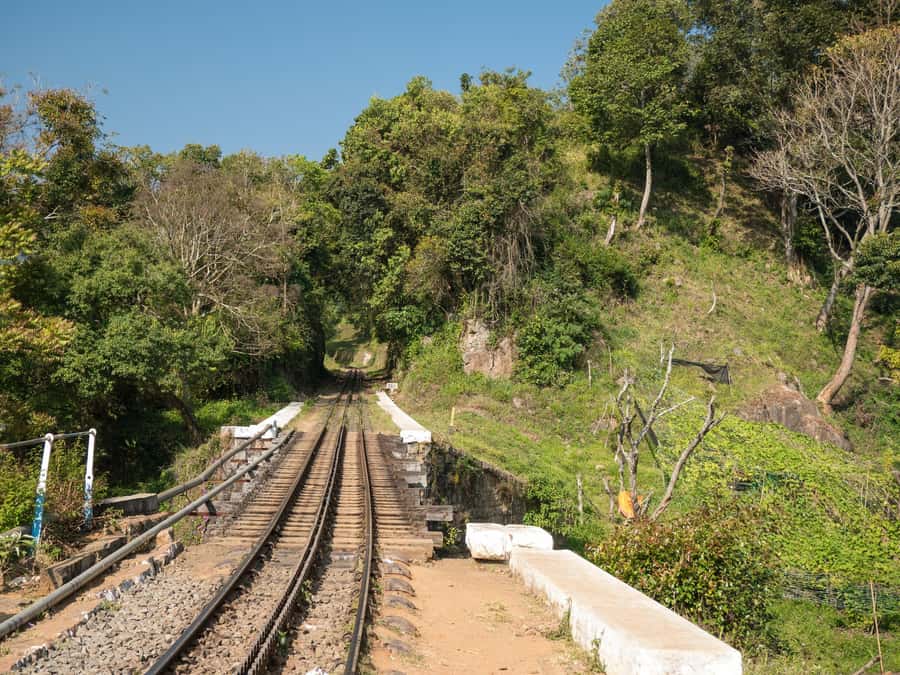 Cali: San Cipriano & River Adventure Day Tour - From Cali to Córdoba, expect a full day