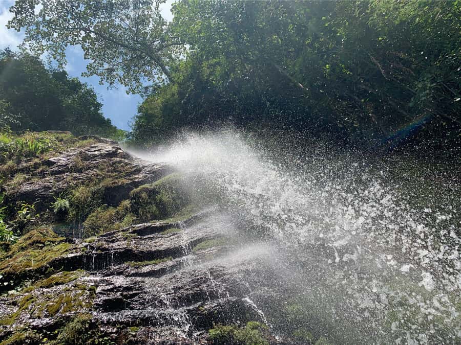 Cali: Tour of Waterfall in Pance River - Chorrera del Indio - The optional stop at Pance Park