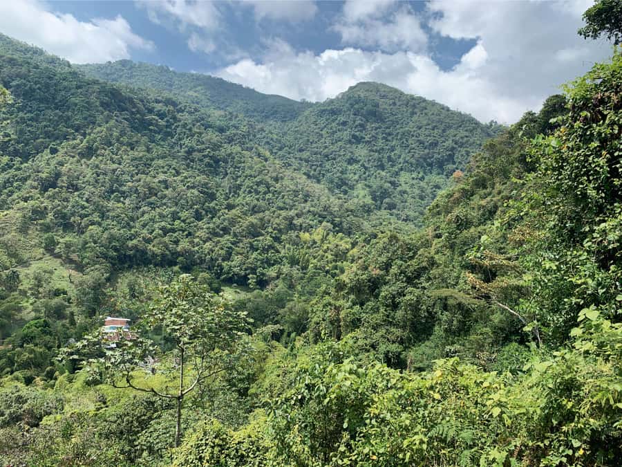 Cali: Tour of Waterfall in Pance River - Chorrera del Indio - Timing, comfort, and what to bring