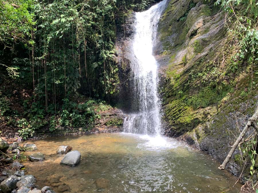 Cali: Tour of Waterfall in Pance River - Chorrera del Indio - Who should book this river outing