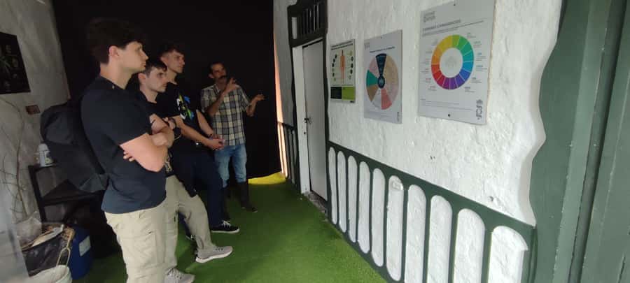 CANNABIS EXPERIENCE - What this Salento cannabis experience is really about