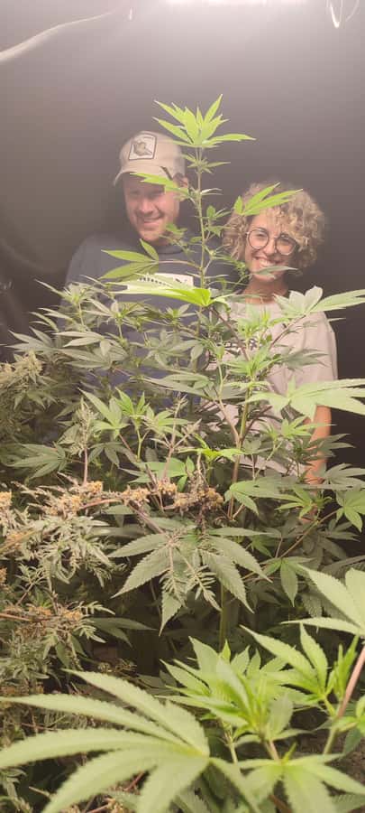 CANNABIS EXPERIENCE - The drink and ancestral souvenir