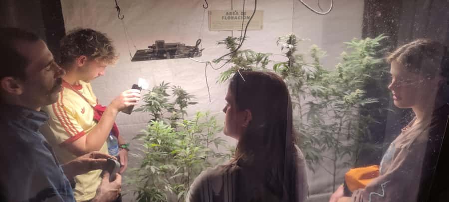 CANNABIS EXPERIENCE - Starting at Grow Ganja Coffee Shop
