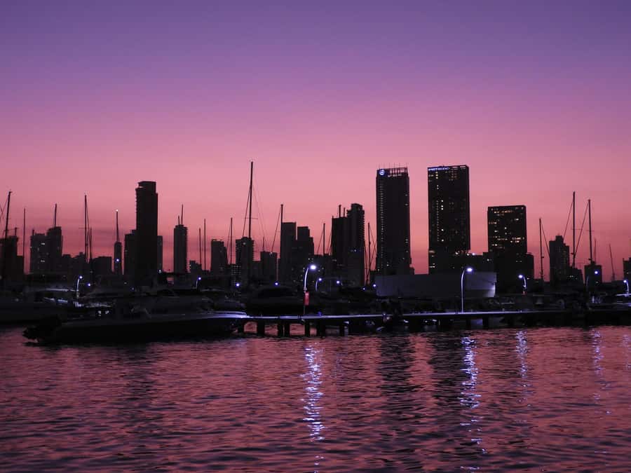 Cartagena: 4-course Culinary Experience aboard a catamaran - Service, music, and the mood onboard