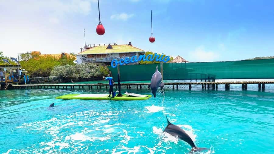 CARTAGENA: 4 islands by sport boat +oceanarium tickets - Timing, comfort, and the group experience
