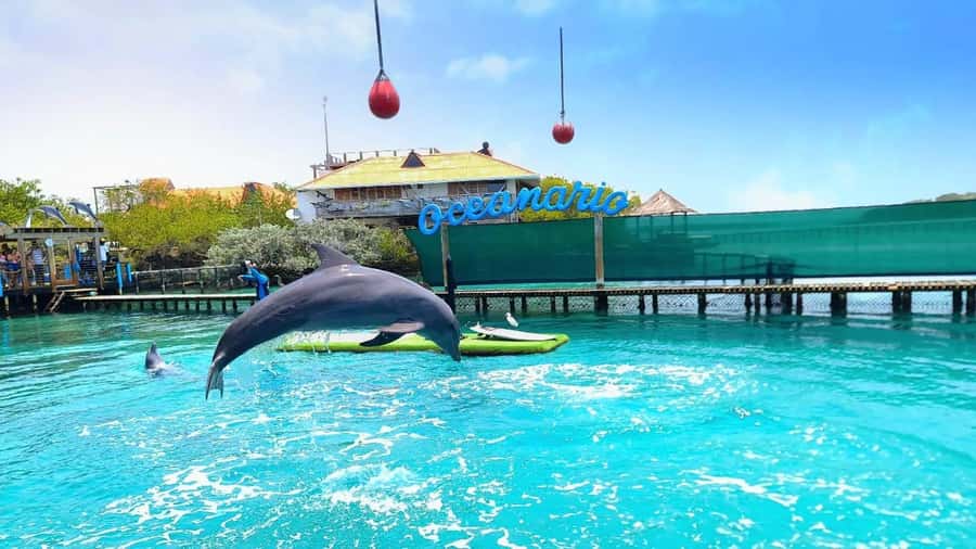 CARTAGENA: 4 islands by sport boat +oceanarium tickets - A seven-hour island circuit from Cartagena