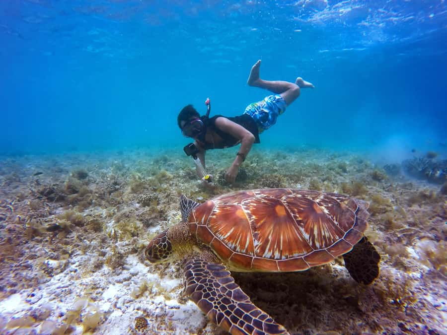 Cartagena: 5 Islands Boat Tour with Lunch, Snorkeling, & Bar - Key points to know before you book