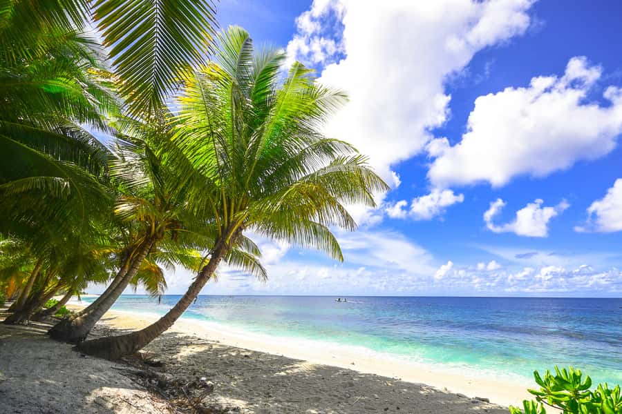 Cartagena: 5 Islands Boat Tour with Lunch, Snorkeling, & Bar - Starting at 7:30 from Cartagena