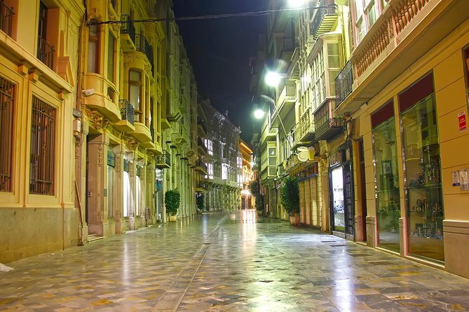 Cartagena and Murcia - full day shore excursion for cruise guests - Group size, vehicle, and walking demands