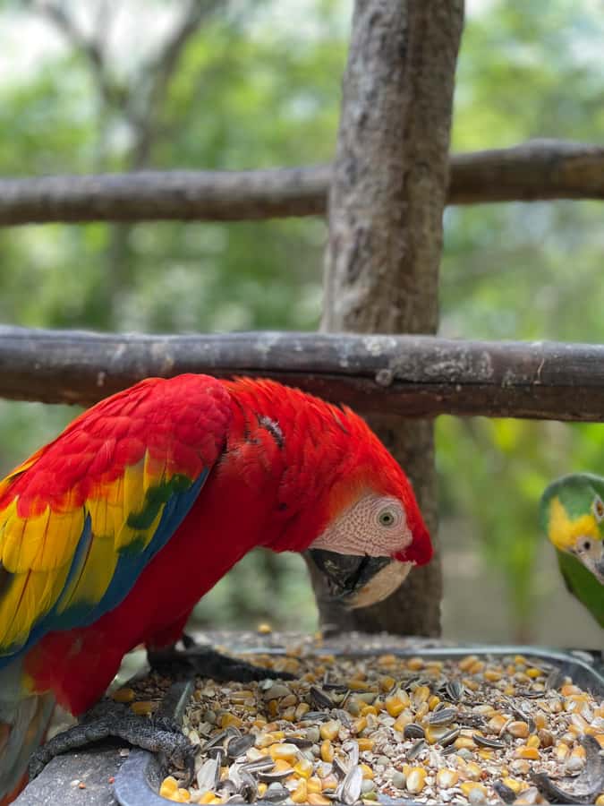Cartagena: Aviary National Park Tour with Hotel Pickup - Key Points Before You Book