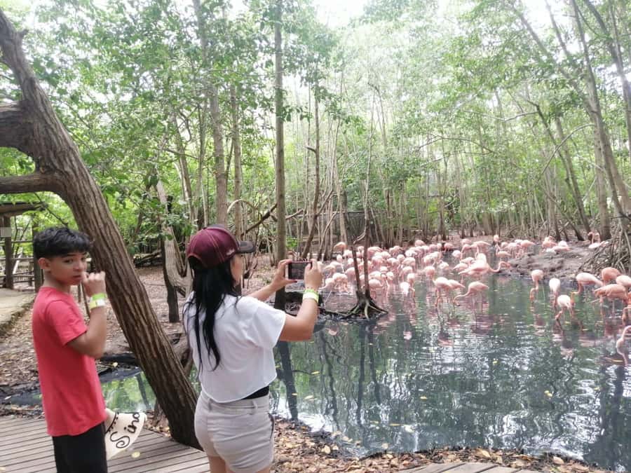 Cartagena: Aviary National Park Tour with Hotel Pickup - The Ride From Cartagena to the Aviary