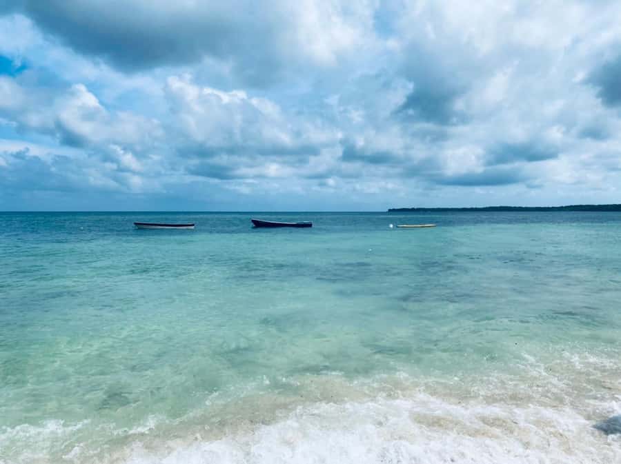Cartagena: Baru Island & Playa Tranquila Day Trip with Lunch - Key points to know before booking