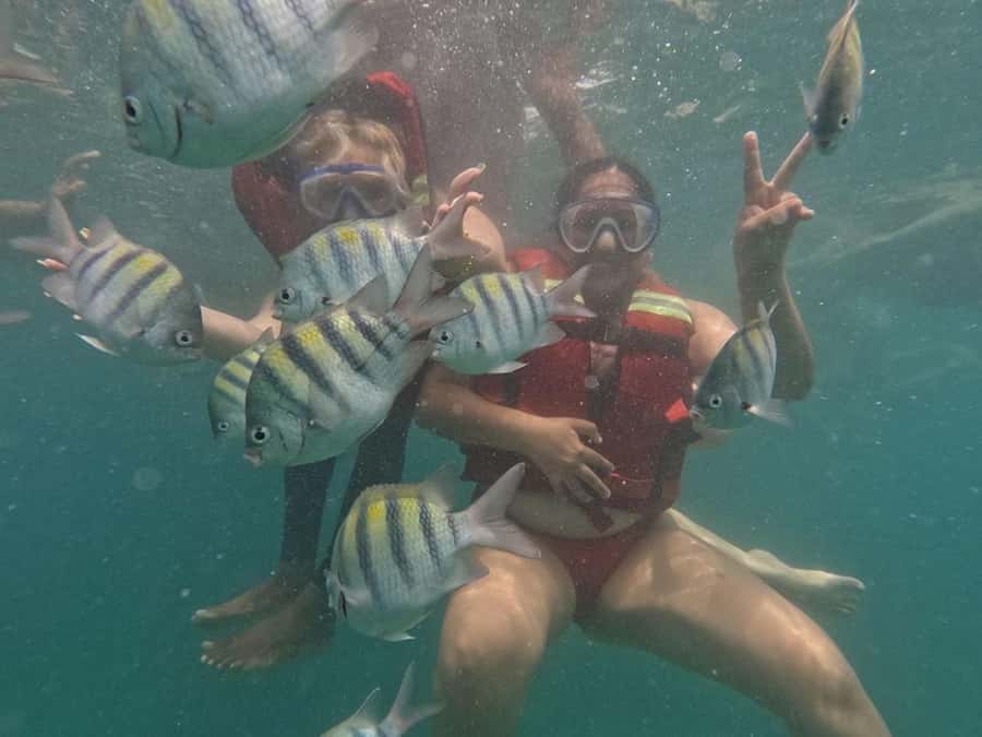 Cartagena: BARÚ Playa blanca with SNORKELING INCLUDED - Key points to know before booking