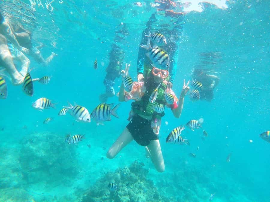 Cartagena: BARÚ Playa blanca with SNORKELING INCLUDED - Who will enjoy this Barú day trip most