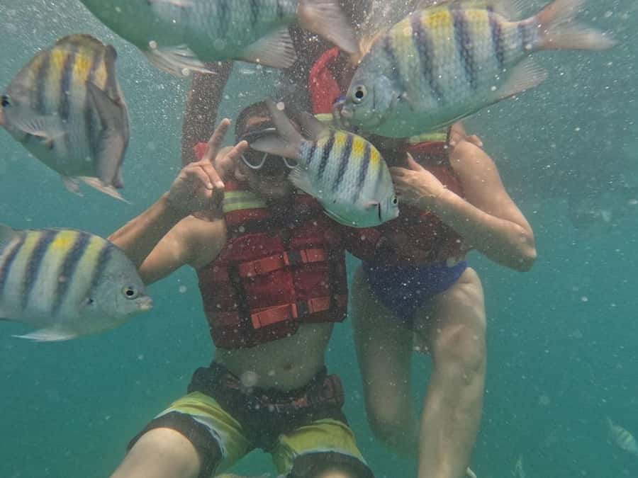 Cartagena: BARÚ Playa blanca with SNORKELING INCLUDED - Three hours around Barú and Playa Blanca