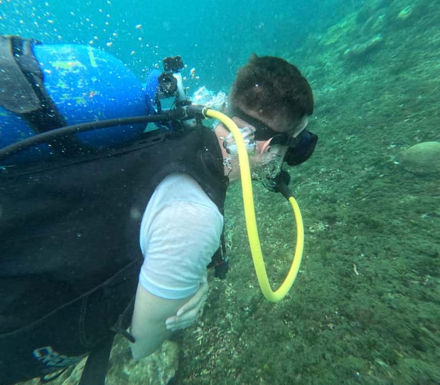 Cartagena: Basic Diving for beginners in Rosario Islands - Key points to know before booking