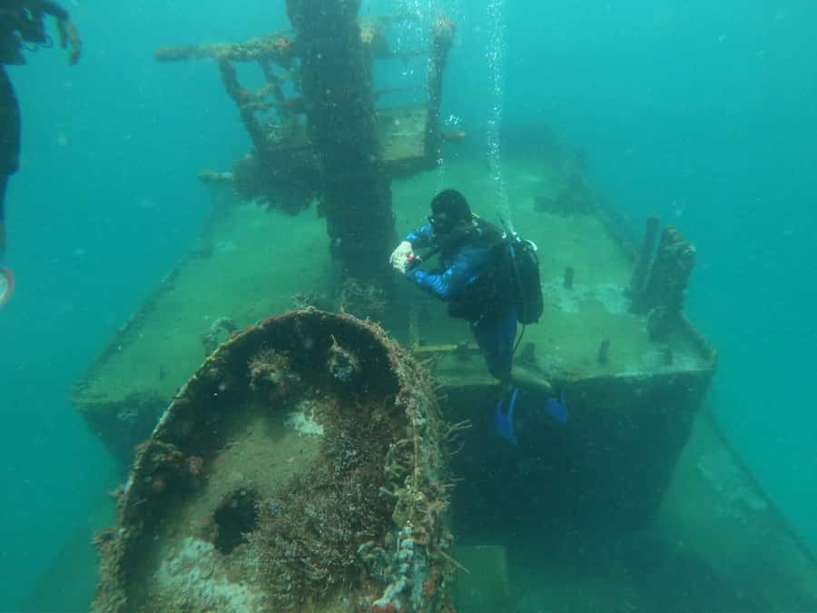 Cartagena: Basic Diving for beginners in Rosario Islands - What this Cartagena scuba trip actually offers