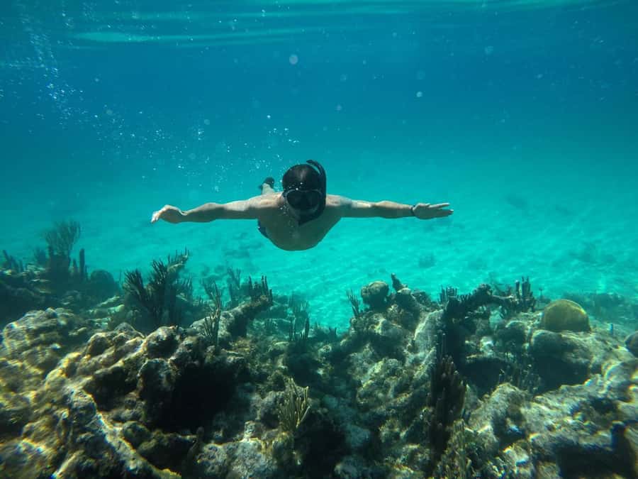 Cartagena: Basic Diving for beginners in Rosario Islands - The bus ride to Barú and the real time commitment