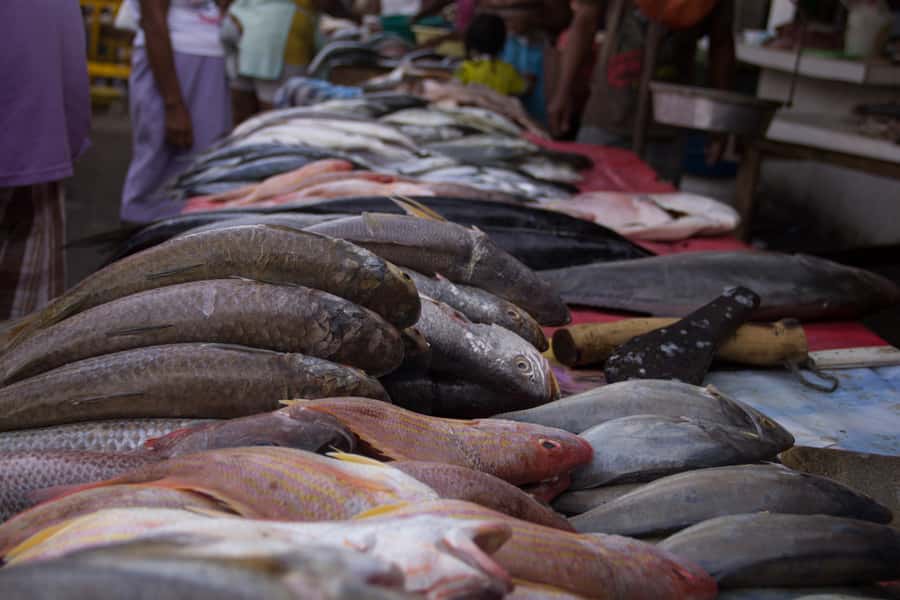 Cartagena Bazurto Market: Authentic Food & Culture Tour - What the $92 price includes
