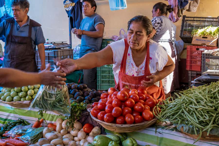 Cartagena: Bazurto Market & La Popa Convent Tour with Lunch - Why this half-day tour feels different from a standard Cartagena outing