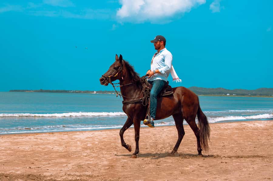Cartagena: Beach Horse Ride and Colombian Equestrian Culture - Should you book the Cartagena beach horse ride?