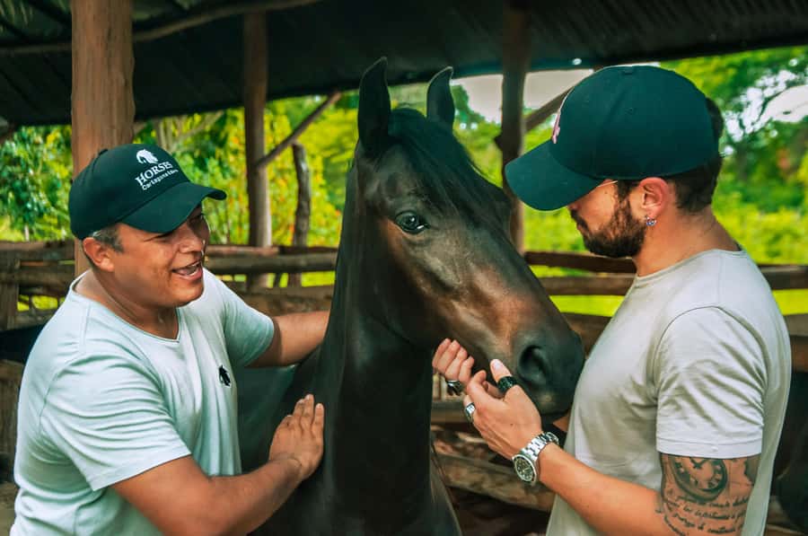 Cartagena: Beach Horse Ride and Colombian Equestrian Culture - Why the ranch visit matters before the beach ride