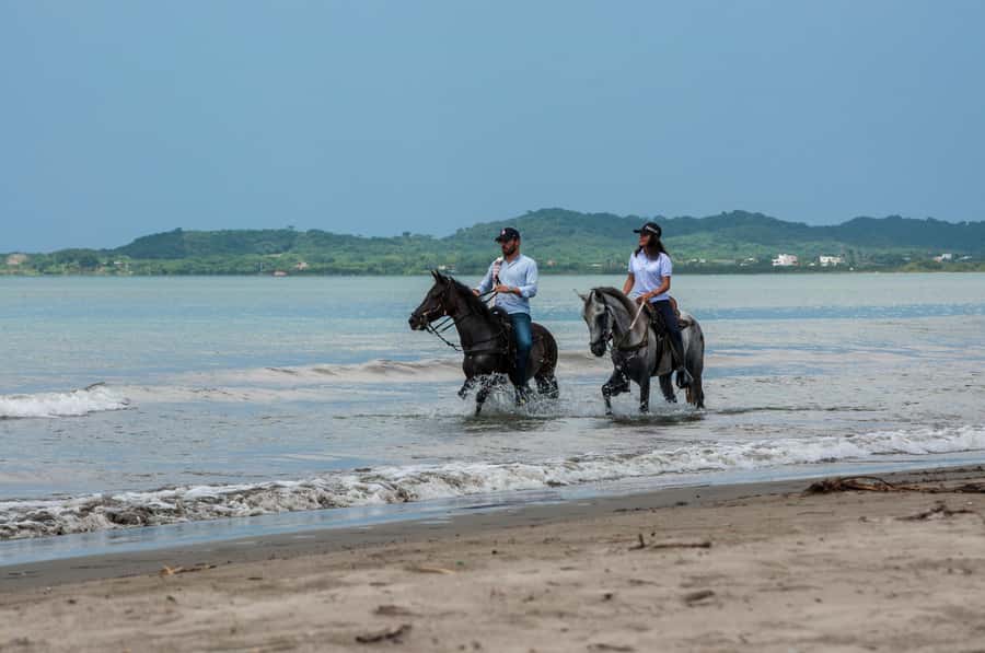 Cartagena: Beach Horse Ride and Colombian Equestrian Culture - Two hours beside the Caribbean water