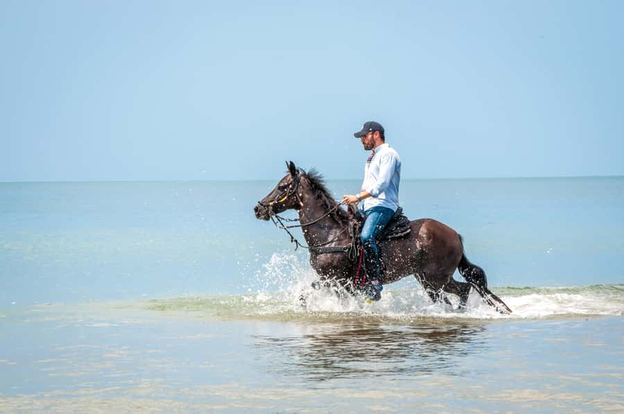 Cartagena: Beach Horse Ride and Colombian Equestrian Culture - What the $186 price includes