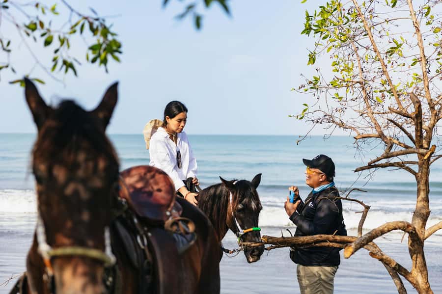 Cartagena: Beach Horse Ride and Colombian Equestrian Culture - Hotel pickup keeps the half-day simple